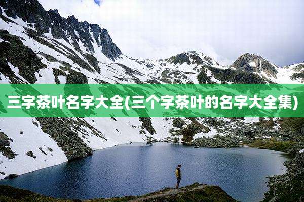 三字茶叶名字大全(三个字茶叶的名字大全集)