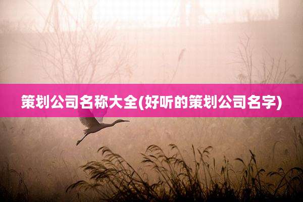 策划公司名称大全(好听的策划公司名字)