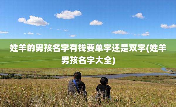 姓羊的男孩名字有钱要单字还是双字(姓羊男孩名字大全)