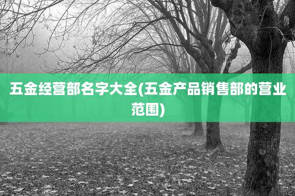 五金经营部名字大全(五金产品销售部的营业范围)
