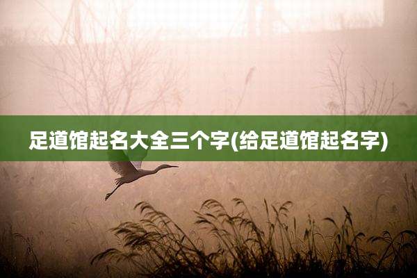 足道馆起名大全三个字(给足道馆起名字)