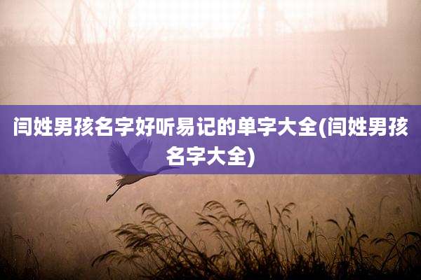 闫姓男孩名字好听易记的单字大全(闫姓男孩名字大全)