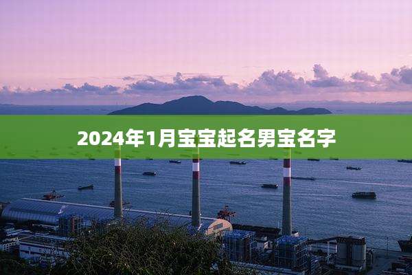 2024年1月宝宝起名男宝名字