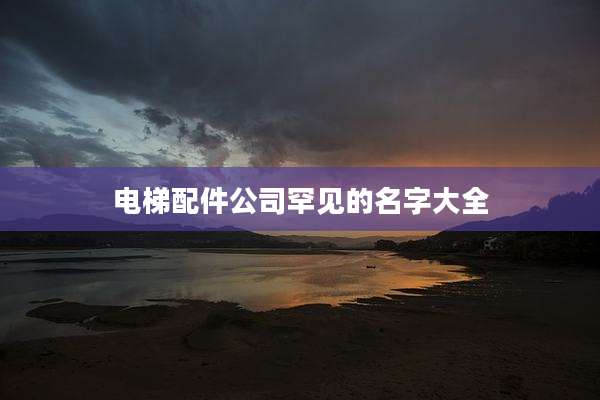 电梯配件公司罕见的名字大全