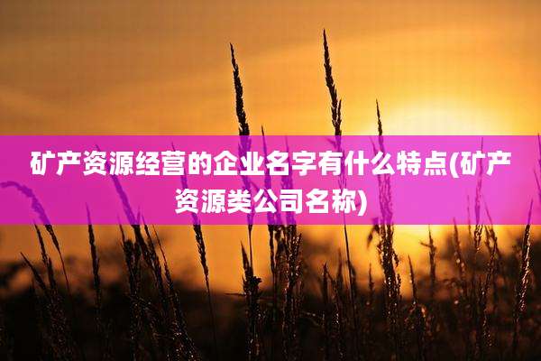 矿产资源经营的企业名字有什么特点(矿产资源类公司名称)