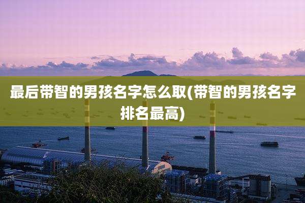 最后带智的男孩名字怎么取(带智的男孩名字排名最高)