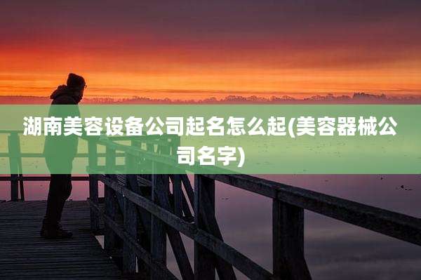 湖南美容设备公司起名怎么起(美容器械公司名字)