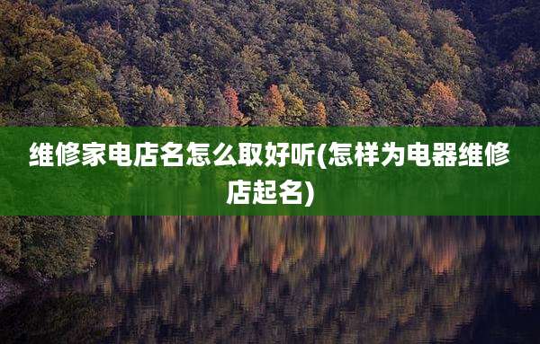 维修家电店名怎么取好听(怎样为电器维修店起名)
