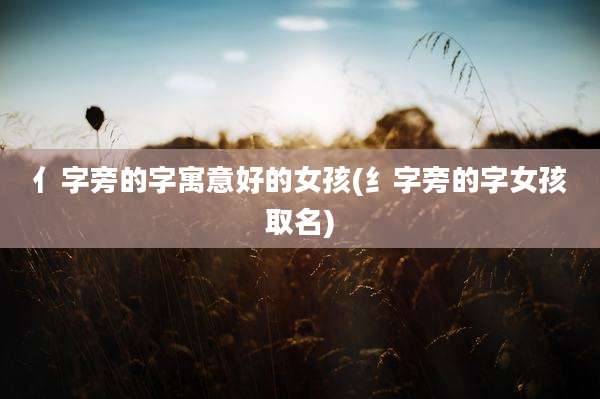 亻字旁的字寓意好的女孩(纟字旁的字女孩取名)