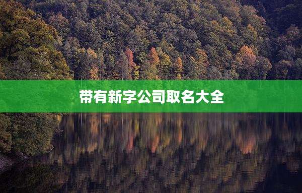 带有新字公司取名大全