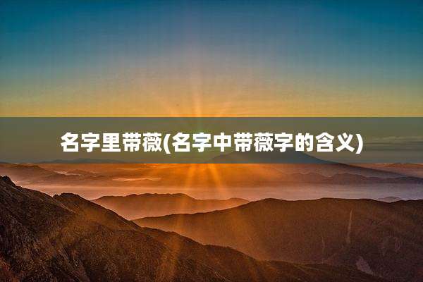 名字里带薇(名字中带薇字的含义)