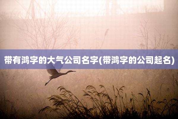 带有鸿字的大气公司名字(带鸿字的公司起名)