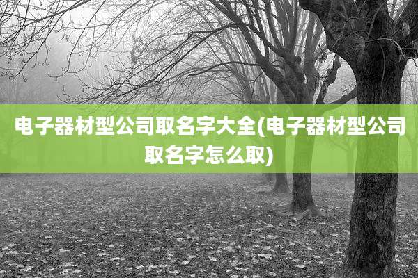 电子器材型公司取名字大全(电子器材型公司取名字怎么取)