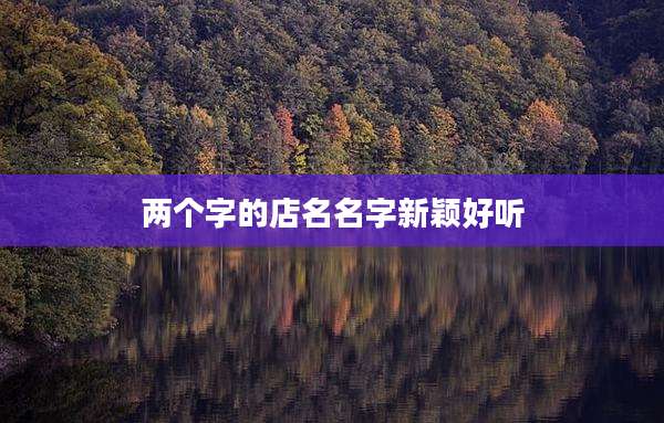 两个字的店名名字新颖好听