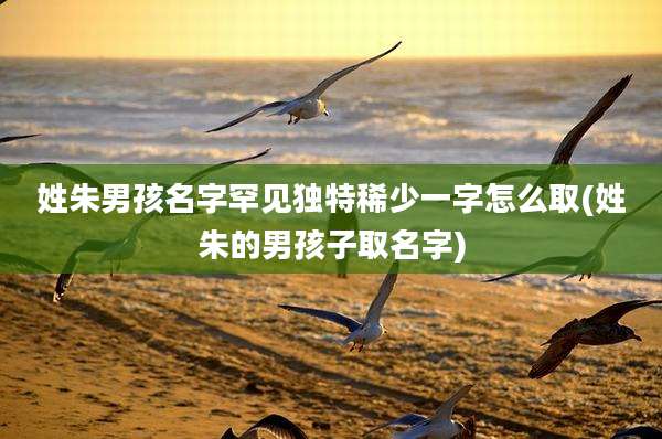 姓朱男孩名字罕见独特稀少一字怎么取(姓朱的男孩子取名字)