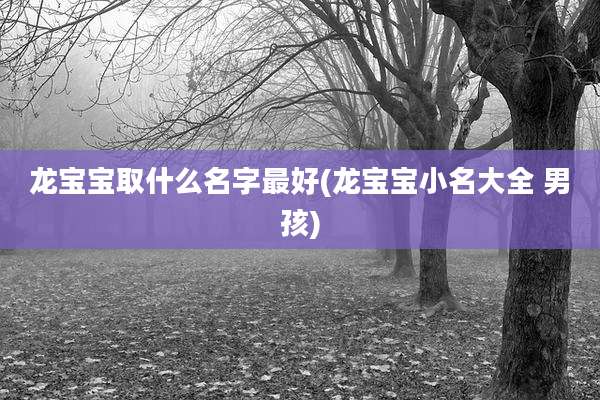 龙宝宝取什么名字最好(龙宝宝小名大全 男孩)