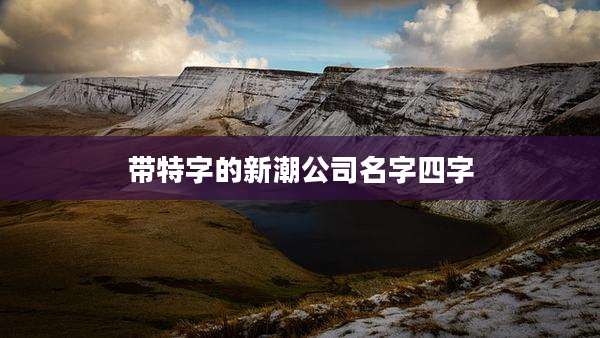 带特字的新潮公司名字四字