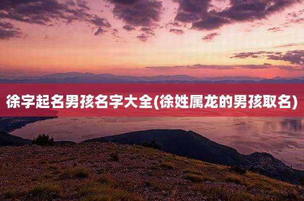 徐字起名男孩名字大全(徐姓属龙的男孩取名)