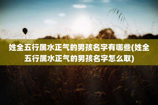 姓全五行属水正气的男孩名字有哪些(姓全五行属水正气的男孩名字怎么取)