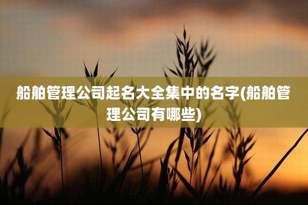 船舶管理公司起名大全集中的名字(船舶管理公司有哪些)