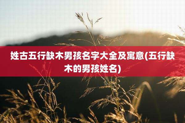 姓古五行缺木男孩名字大全及寓意(五行缺木的男孩姓名)