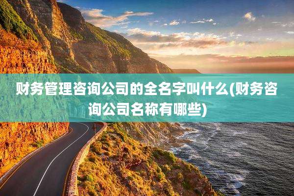 财务管理咨询公司的全名字叫什么(财务咨询公司名称有哪些)