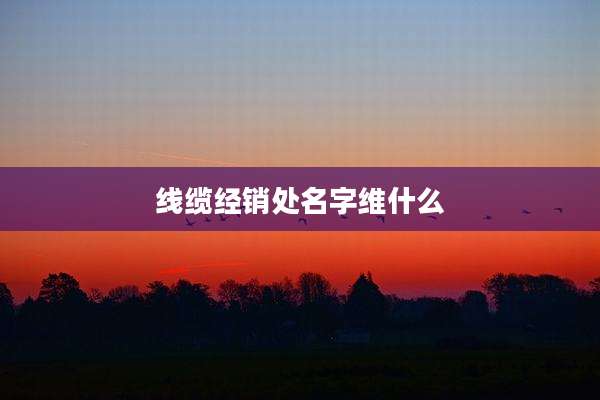 线缆经销处名字维什么