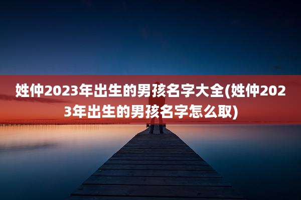 姓仲2023年出生的男孩名字大全(姓仲2023年出生的男孩名字怎么取)