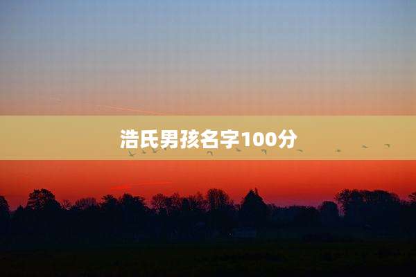 浩氏男孩名字100分