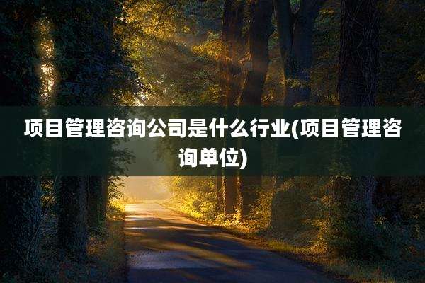 项目管理咨询公司是什么行业(项目管理咨询单位)
