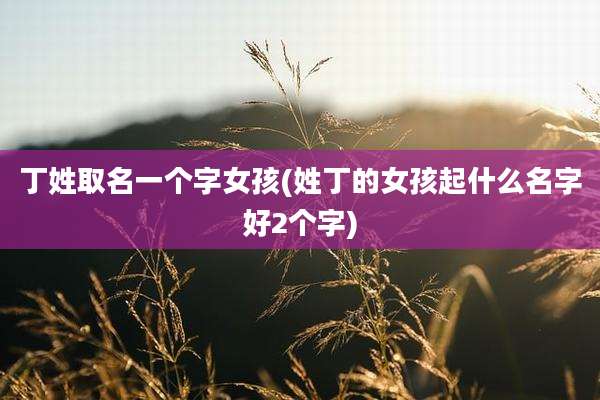丁姓取名一个字女孩(姓丁的女孩起什么名字好2个字)