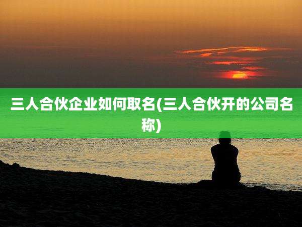 三人合伙企业如何取名(三人合伙开的公司名称)