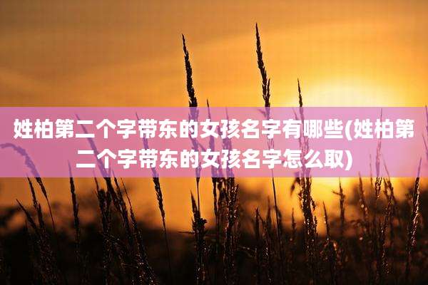 姓柏第二个字带东的女孩名字有哪些(姓柏第二个字带东的女孩名字怎么取)
