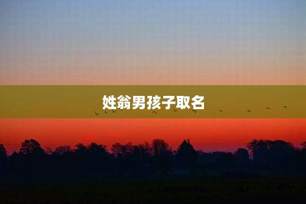 姓翁男孩子取名