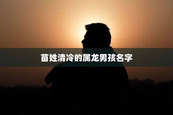 苗姓清冷的属龙男孩名字