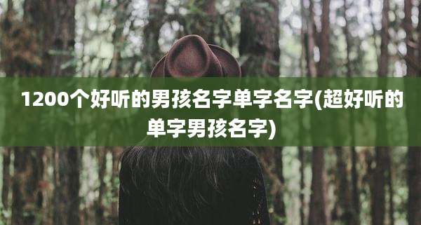 1200个好听的男孩名字单字名字(超好听的单字男孩名字)