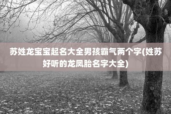 苏姓龙宝宝起名大全男孩霸气两个字(姓苏好听的龙凤胎名字大全)