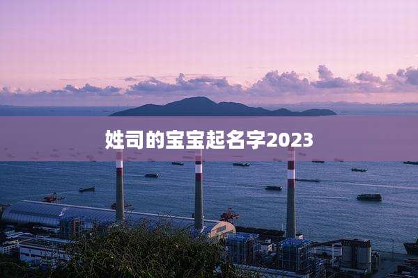 姓司的宝宝起名字2023