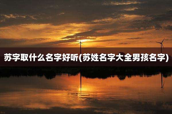 苏字取什么名字好听(苏姓名字大全男孩名字)