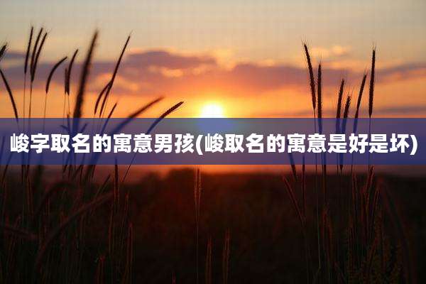 峻字取名的寓意男孩(峻取名的寓意是好是坏)