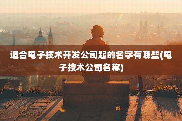 适合电子技术开发公司起的名字有哪些(电子技术公司名称)