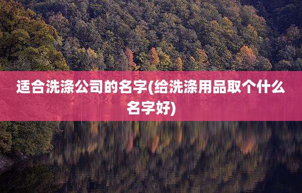 适合洗涤公司的名字(给洗涤用品取个什么名字好)