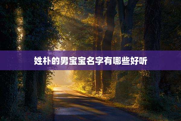 姓朴的男宝宝名字有哪些好听