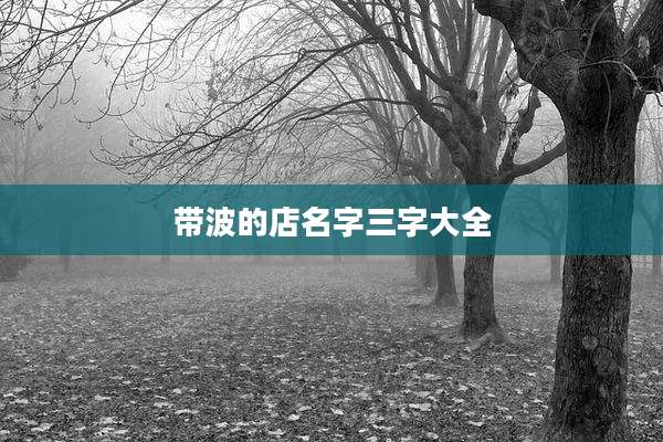 带波的店名字三字大全