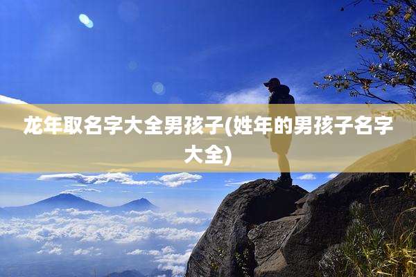 龙年取名字大全男孩子(姓年的男孩子名字大全)