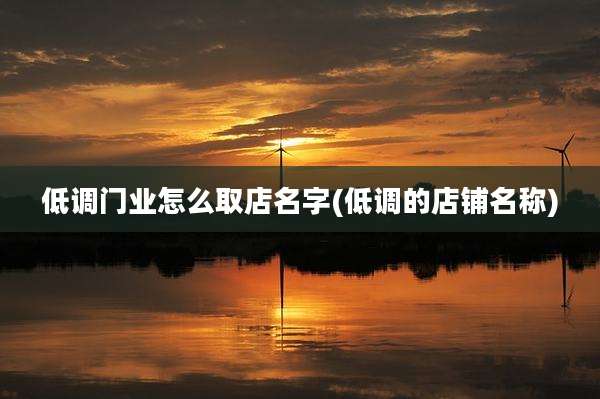 低调门业怎么取店名字(低调的店铺名称)
