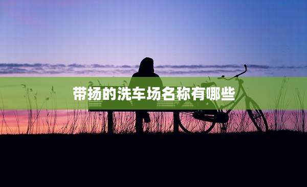 带扬的洗车场名称有哪些