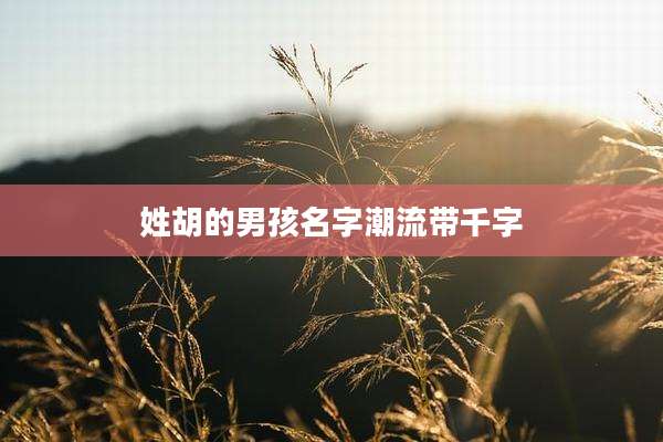 姓胡的男孩名字潮流带千字