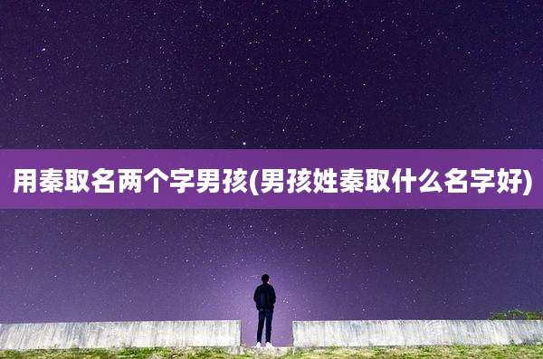 用秦取名两个字男孩(男孩姓秦取什么名字好)