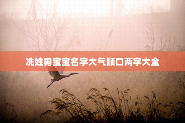 冼姓男宝宝名字大气顺口两字大全